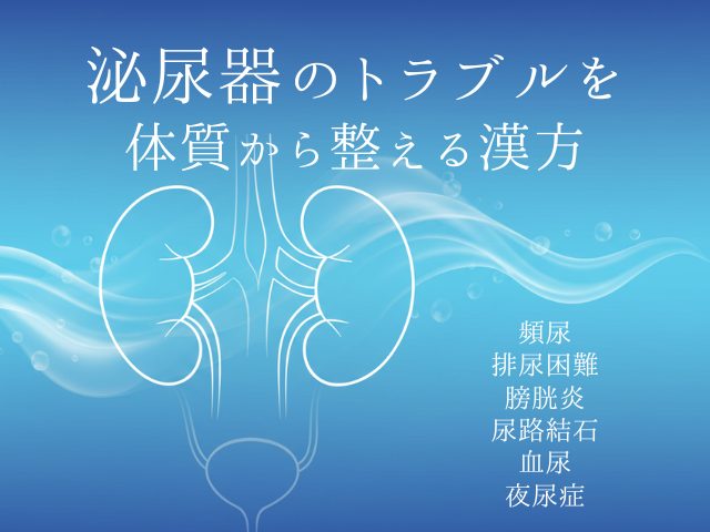 泌尿器のお悩みと漢方薬 ─ 頻尿・膀胱炎・尿路結石・血尿・排尿困難・夜尿症 ─