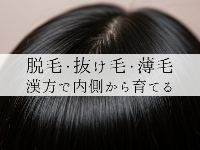 脱毛・抜け毛・薄毛漢方で内側から育てる
