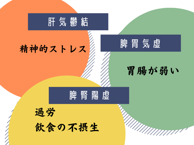 過敏性腸症候群の漢方的分類