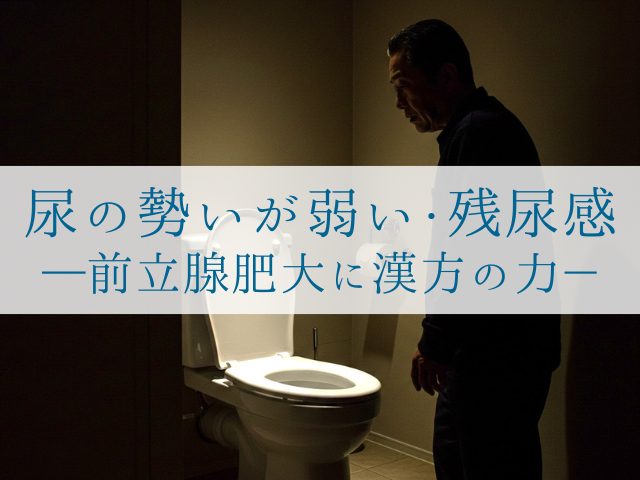 尿の勢いが弱い・残尿感 前立腺肥大に漢方の力