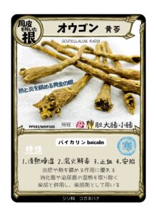 生薬トレカ（黄芩）