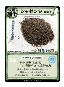 生薬トレカ（車前子）