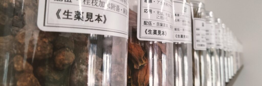 生薬見本